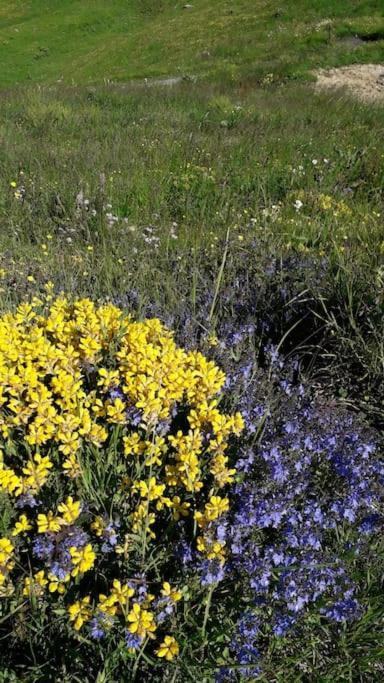 A Cordon Entre Bois Et Nature Luaran gambar