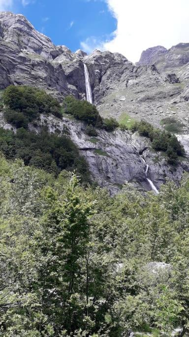 A Cordon Entre Bois Et Nature Luaran gambar